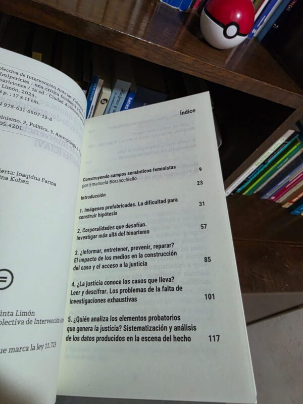(Im)pericias: una crítica feminista a la investigación de desapariciones - CIAV - Image 3