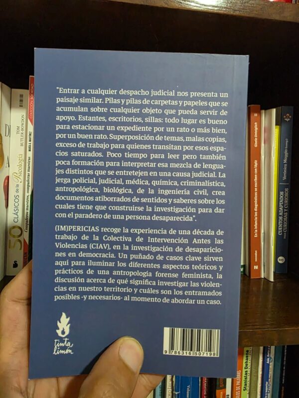 (Im)pericias: una crítica feminista a la investigación de desapariciones - CIAV - Image 2