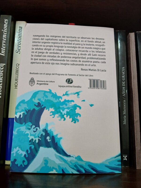 ojo de ballena - Image 2