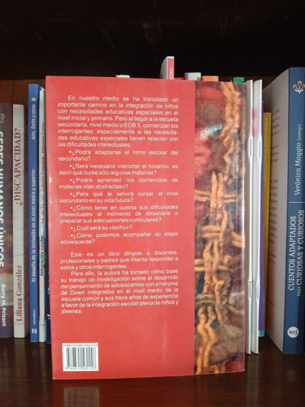 Integración escolar y desarrollo cognitivo - Image 2