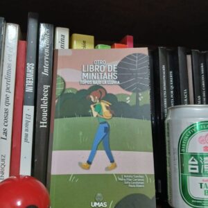 Otro libro de minitahs