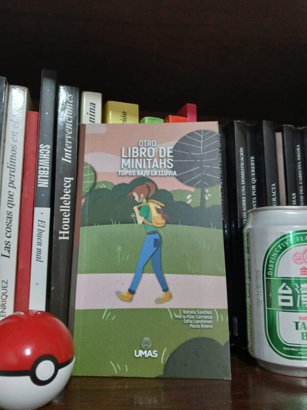 Otro libro de minitahs